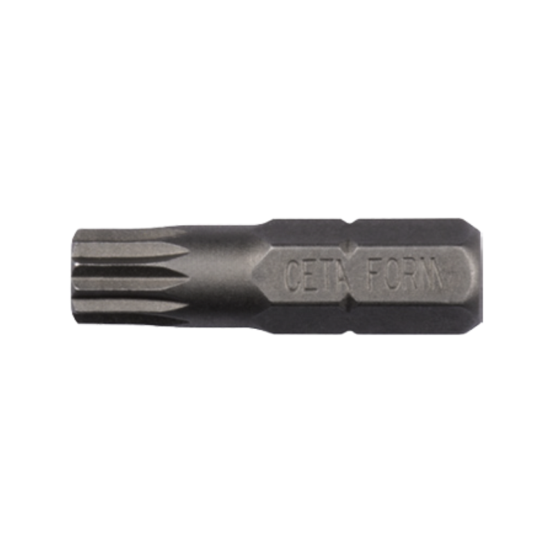 CETA FORM 1/4XZN BİTS UÇ-M5X25MM - CB/855
