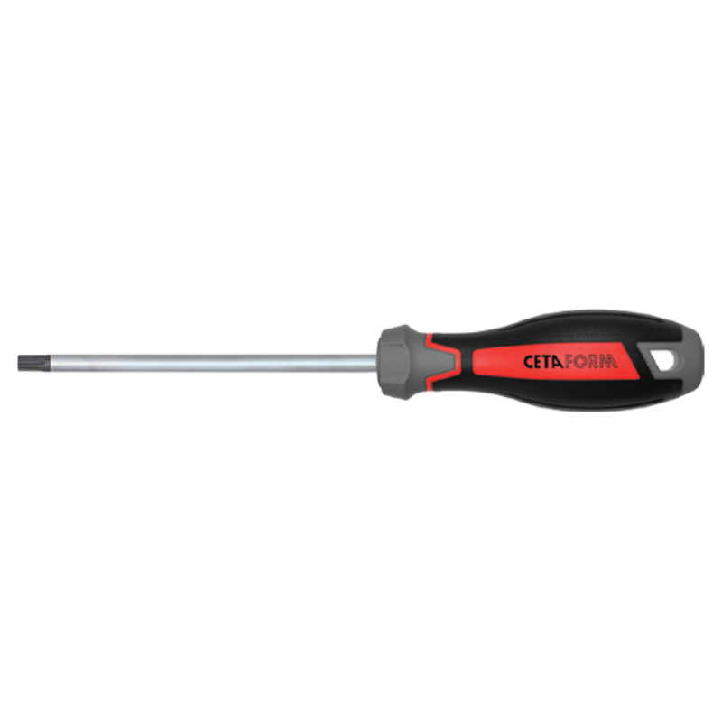 CETA FORM C-PLUS TORX UÇLU TORNAVİDA-T15X80MM - F18-015-080