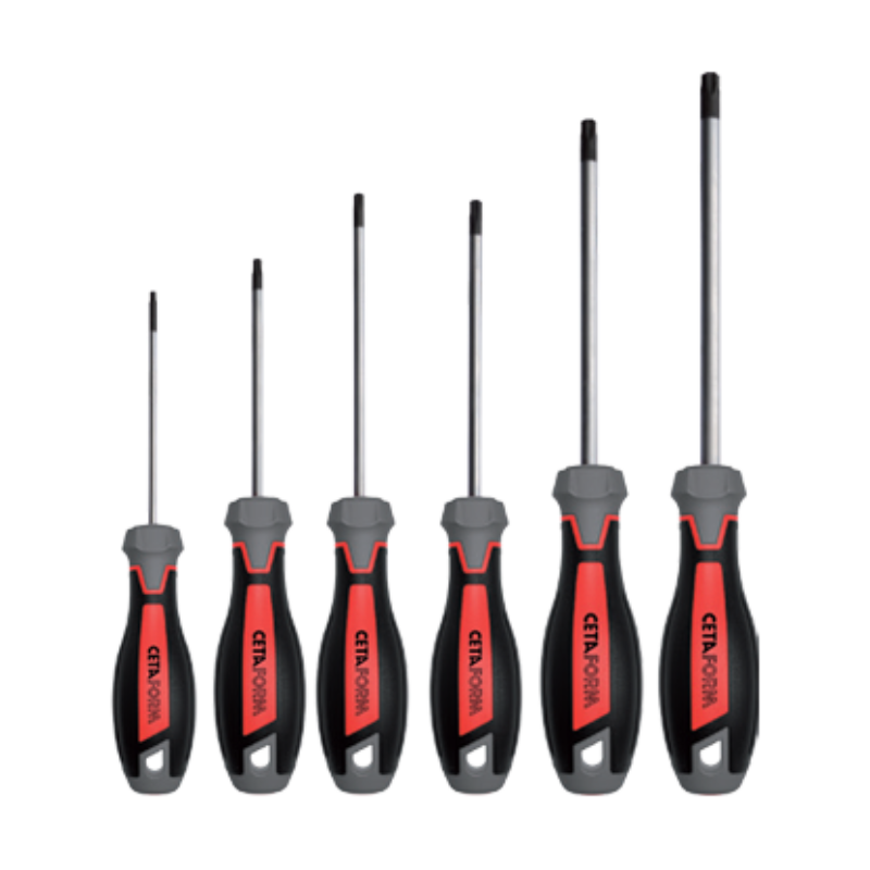 CETA FORM 6 PARÇA C-PLUS TORNAVİDA TAKIMI-TORX - F99-605
