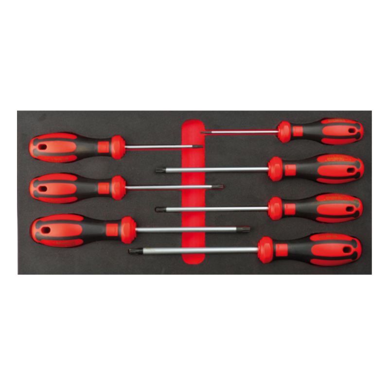 CETA FORM 7 PC. C-PLUS DELİKLİ TORX TORNAVİDA TAKIMI/EVA'LI - F99-E0706